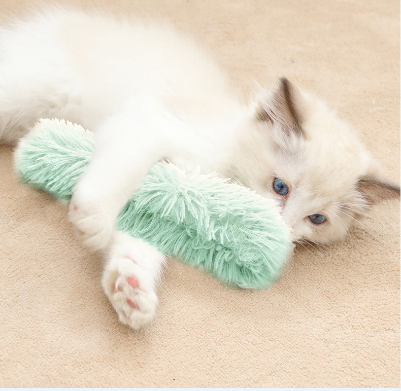 The Heart of the Home: How Pets and Their Essentials Shape Our Daily Lives